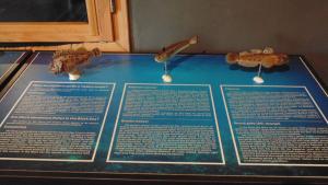 макети на риби