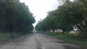 пътища добричко