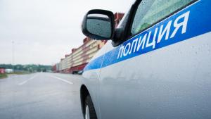 Русия полиция