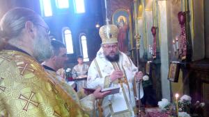 Врачански митрополит Григорий