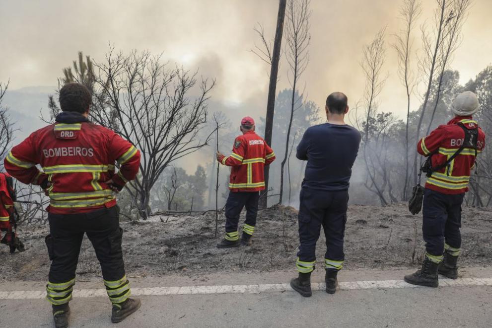  Най-малко 44 индивида пострадаха при огромен пожар в Португалия 