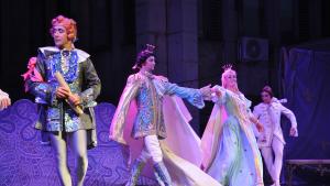 Спящата красавица Видин