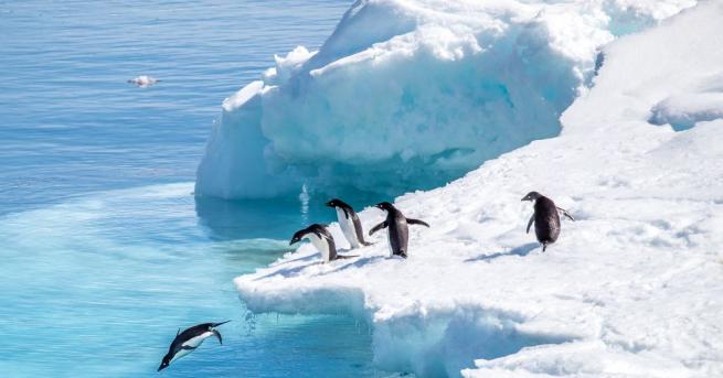 Скорошни проучвания на континента Антарктида доведоха много учени до мисълта