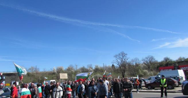 Животновъди от Ямболско и региона засегнат от чумата по животните