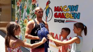 изложба папагали