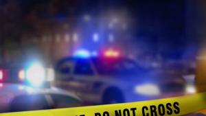 полиция полицейска леннта