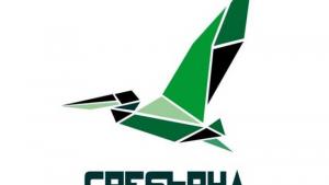 Сребърна състезание