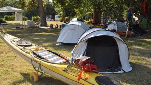 международна фрегата