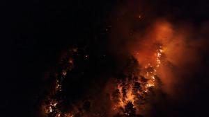 пожар Карлово