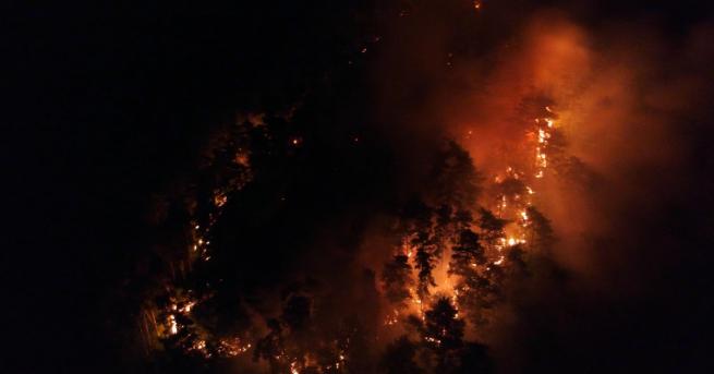 Пожар гори в гората над Карлово, информира говорителят на Регионална