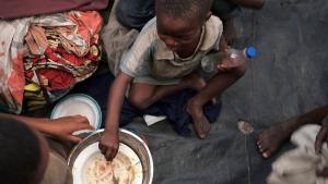 Брюксел Световната продоволствена програма на ООН WFP ще намали почти