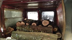 Горските стражари във Варненско задържаха два товарни автомобила и каруци