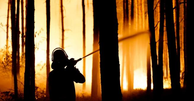 Миризмата на огън от горския пожар който избухна на 50