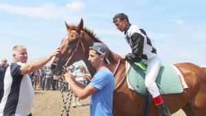 Конни състезания