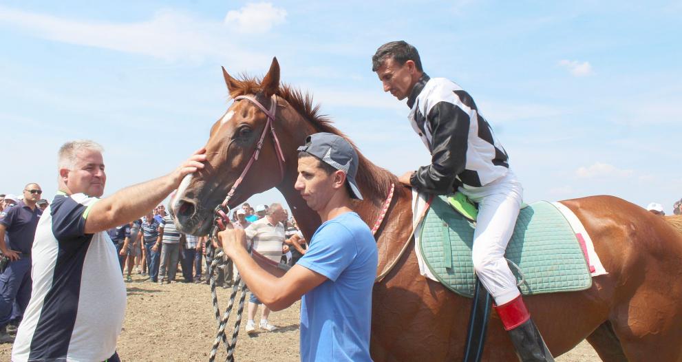 Кон на кмета на Исперих спечели престижно състезание