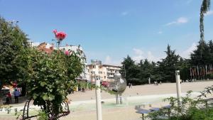 Предизвикателство от Община Казанлък към фотолюбителите