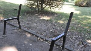 Видин вандали