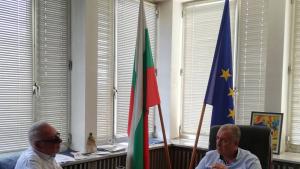 Радосвет Радев Видин