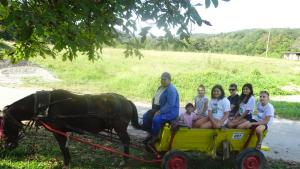 Приеми ме на село