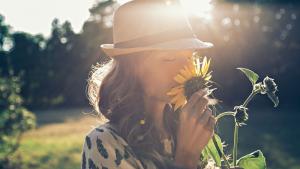 времето цветя слънце