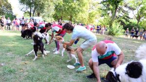 Киноложка изложба Видин