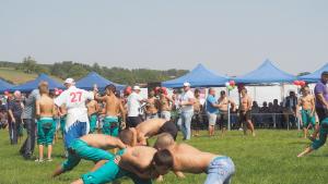 Мазни борби