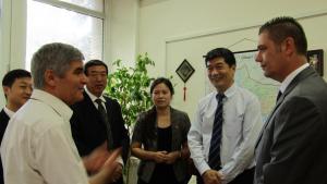 областна добрич