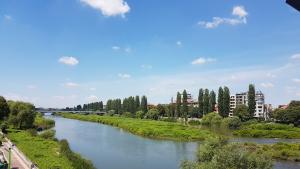 обработка комари