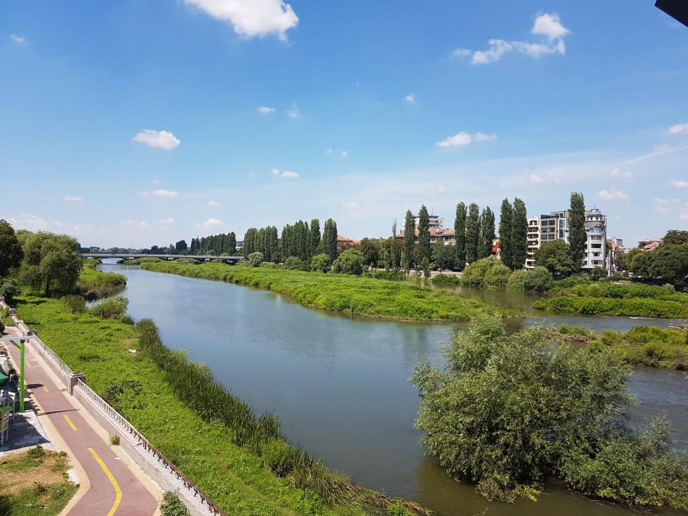 Обработка комари