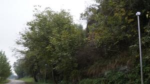 вандализъм Мездра