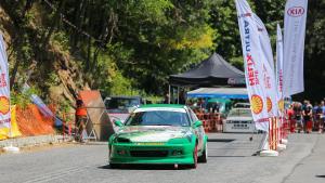 Шипка Дамасцена