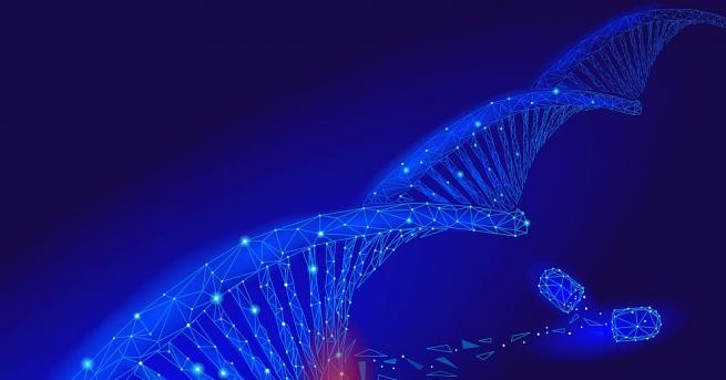 Седмина учени от САЩ и Великобритания разработили новаторска генна терапия