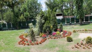 пръскане кърлежи