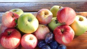 есен плодове времето