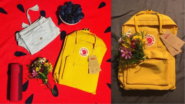  Последвай лисицата! 