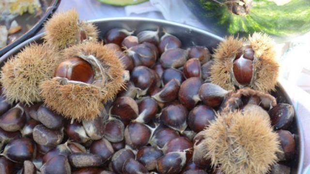 Кестенът – цар на есенните изкушения