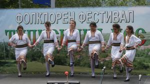 Типченица пее