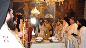 възпоменание Дометиан Видин