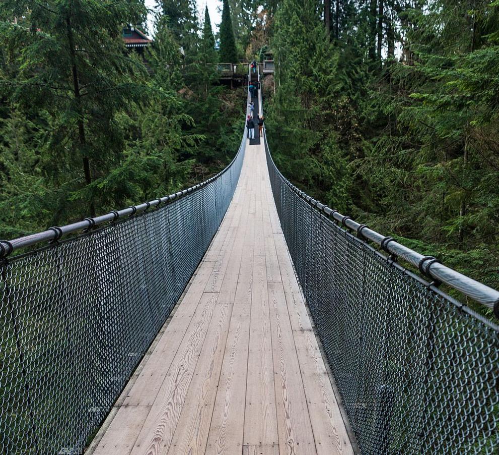  провесен мост в Канада 