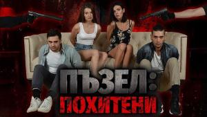 Пъзел похитени