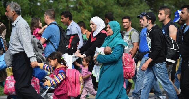 Европа трябва да гарантира на мигрантите по добър достъп до здравеопазване