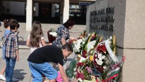 Видин Независимостта