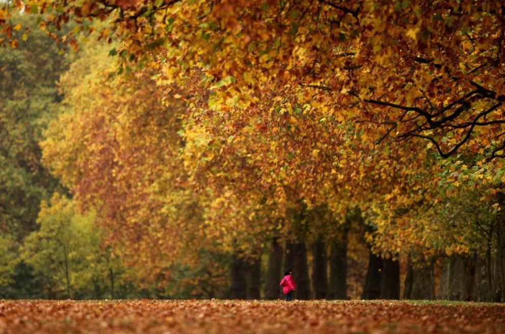 есен времето листа 