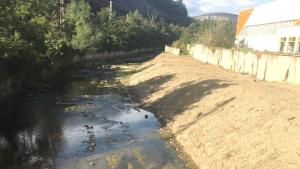 Почистване коритото на река Дряновска