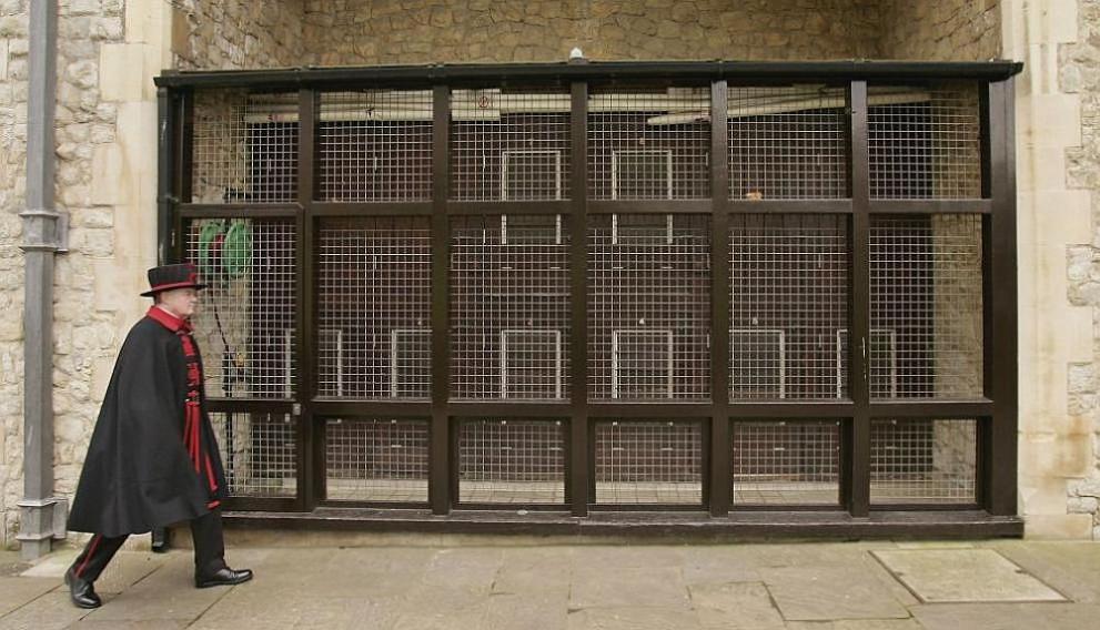  кралски двор 