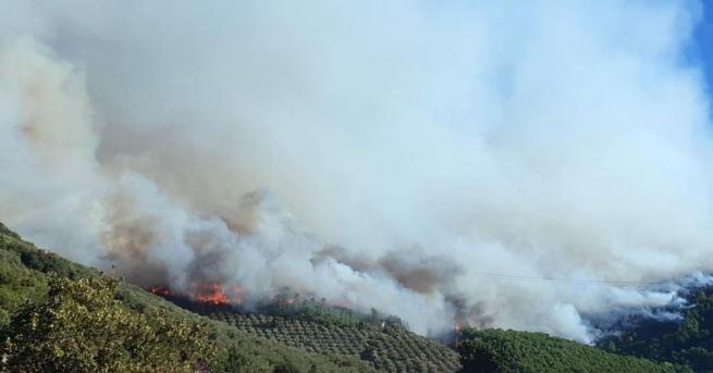 Голям горски пожар е принудил евакуацията на стотици хора от