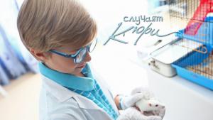 Случаят Кюри