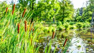 влажни зони