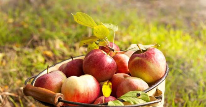 В сутрешните часове на места в котловините на Западна България