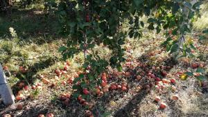 Благоевград